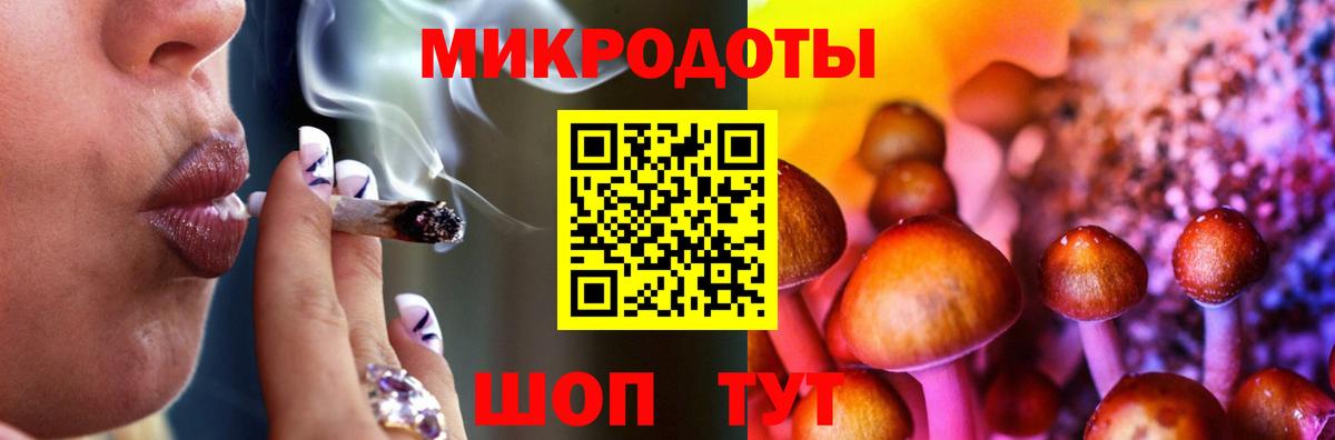 Брянск  Псилоцибиновые грибы мухоморы  где продают наркотики  Вход с VPN 